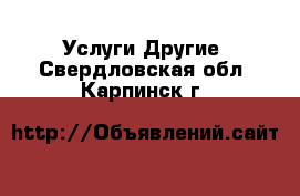 Услуги Другие. Свердловская обл.,Карпинск г.